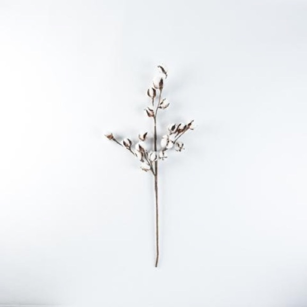 Magnolia brand Handmade faux cotton stems, size 24” long